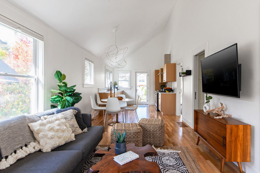 Kleines Modernes Wohnzimmer mit hellem Holzboden, TV-Wand und gewölbter Decke in Denver