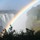 joan_macneill