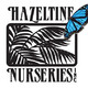 Hazeltine Nurseries