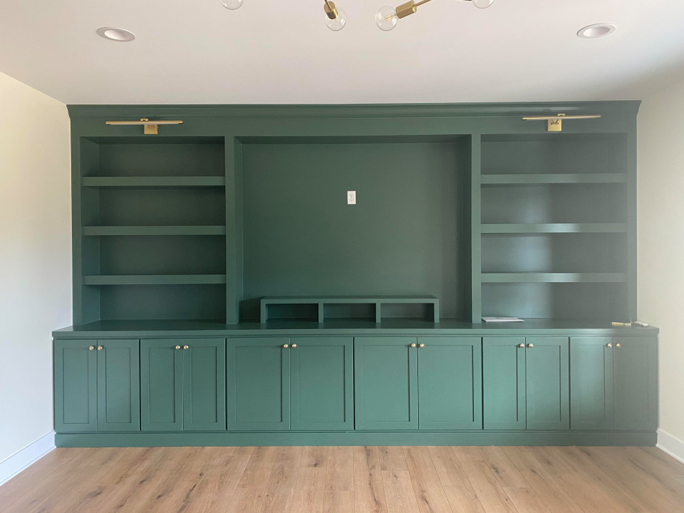 TV/Entertainment Systems