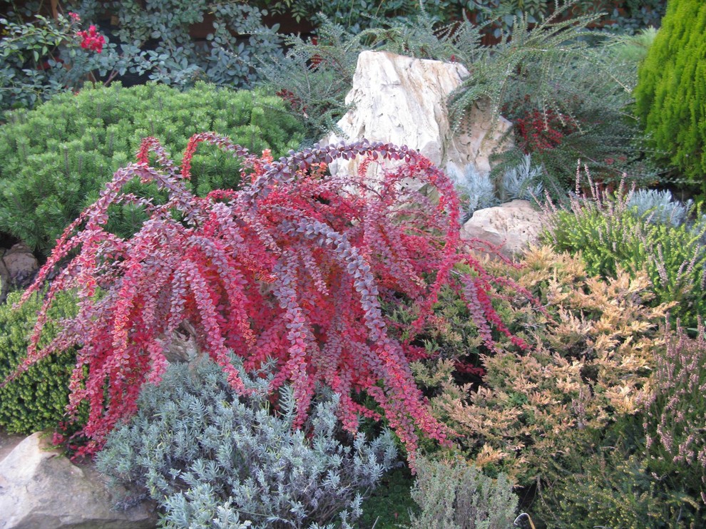 Ландшафт в пейзажном стиле с плавательным прудом 12 соток