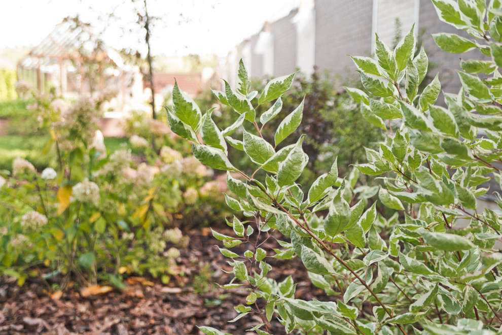 Сад на краю леса