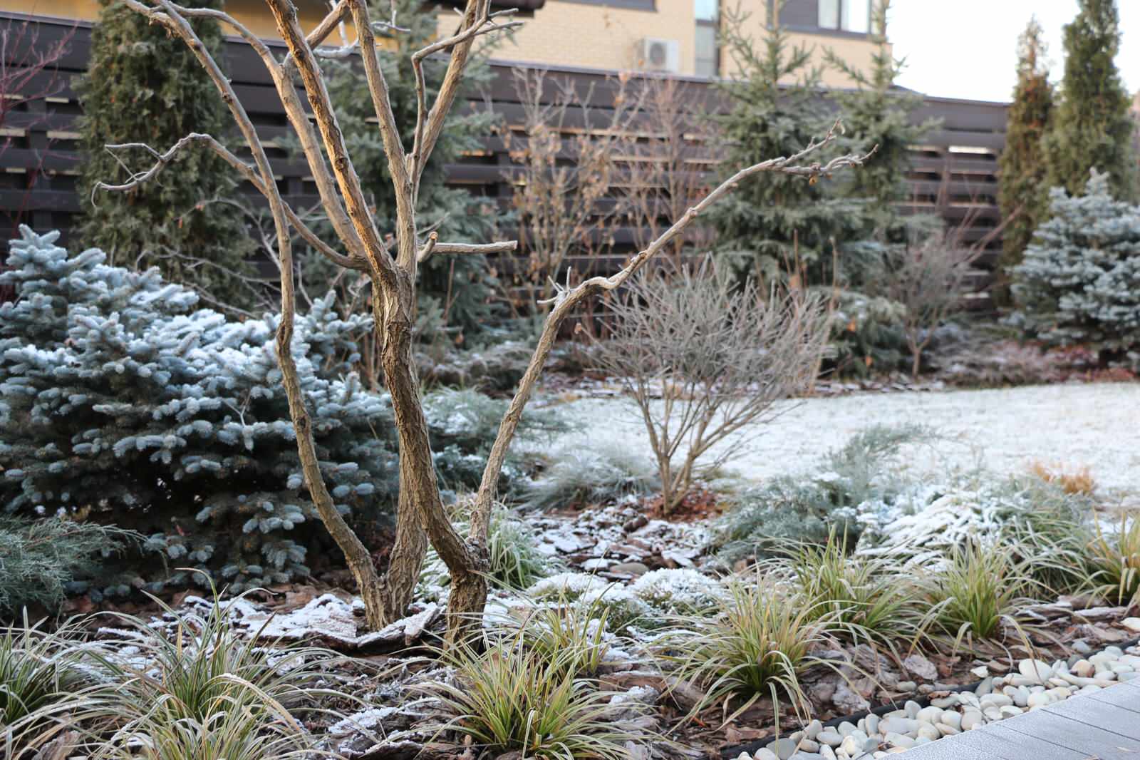 Светлогорье