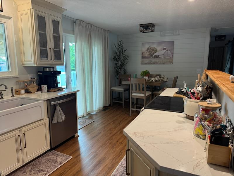 Kitchen Remodel