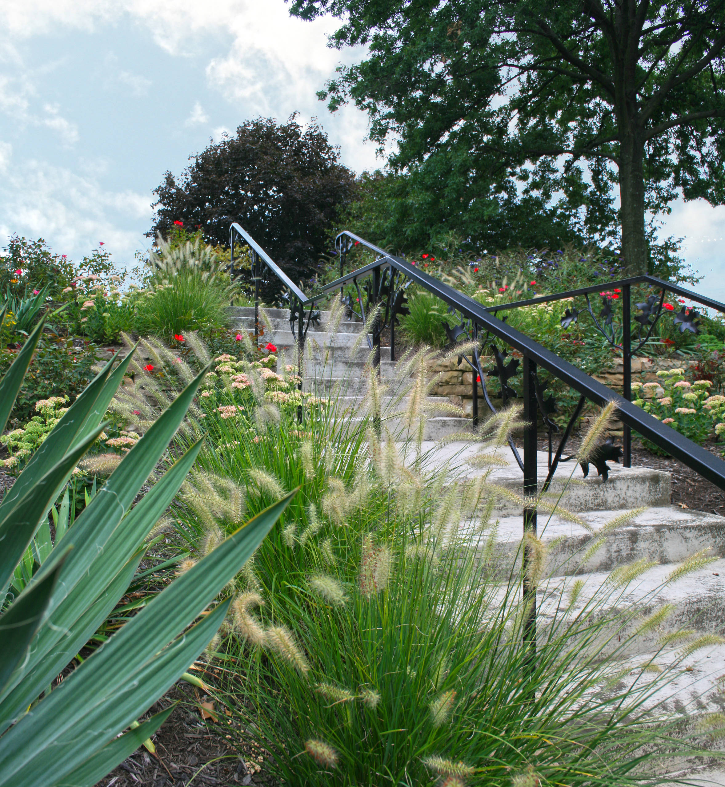 Sloped Front Yard Planting
