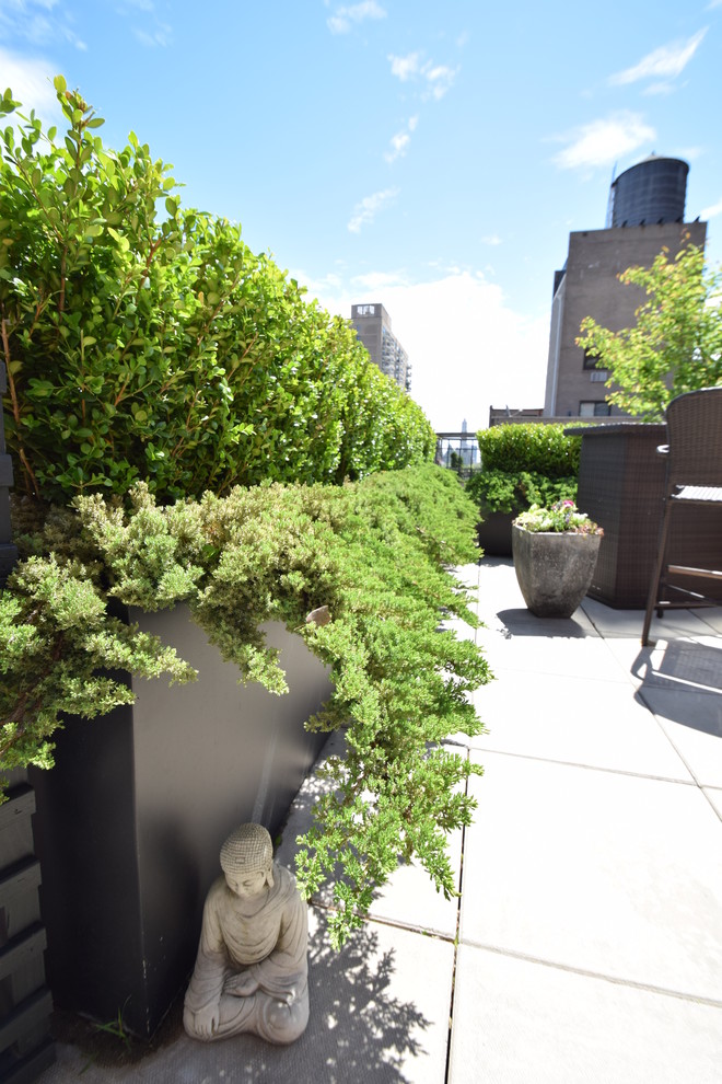 This is an example of a mid-sized modern rooftop deck in New York with a container garden and no cover.