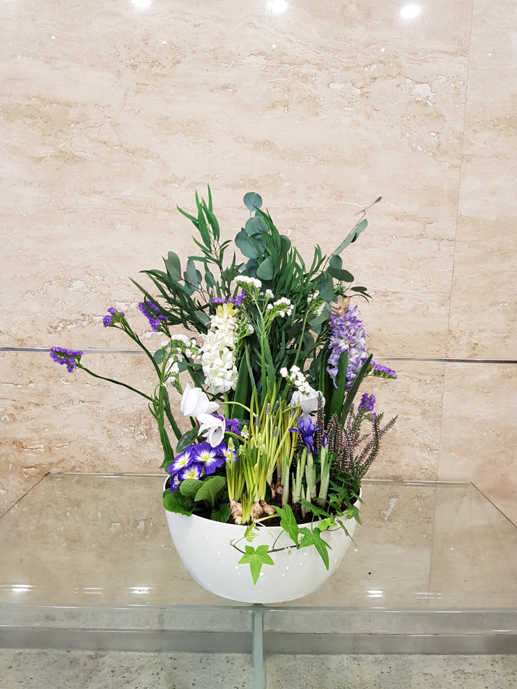 Озеленение офиса