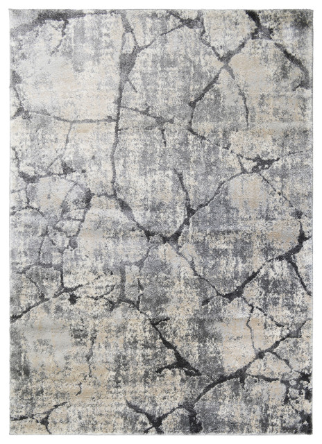 Pacific Astrid Abstract Area Rug, Gray, 5'3"x7'3"