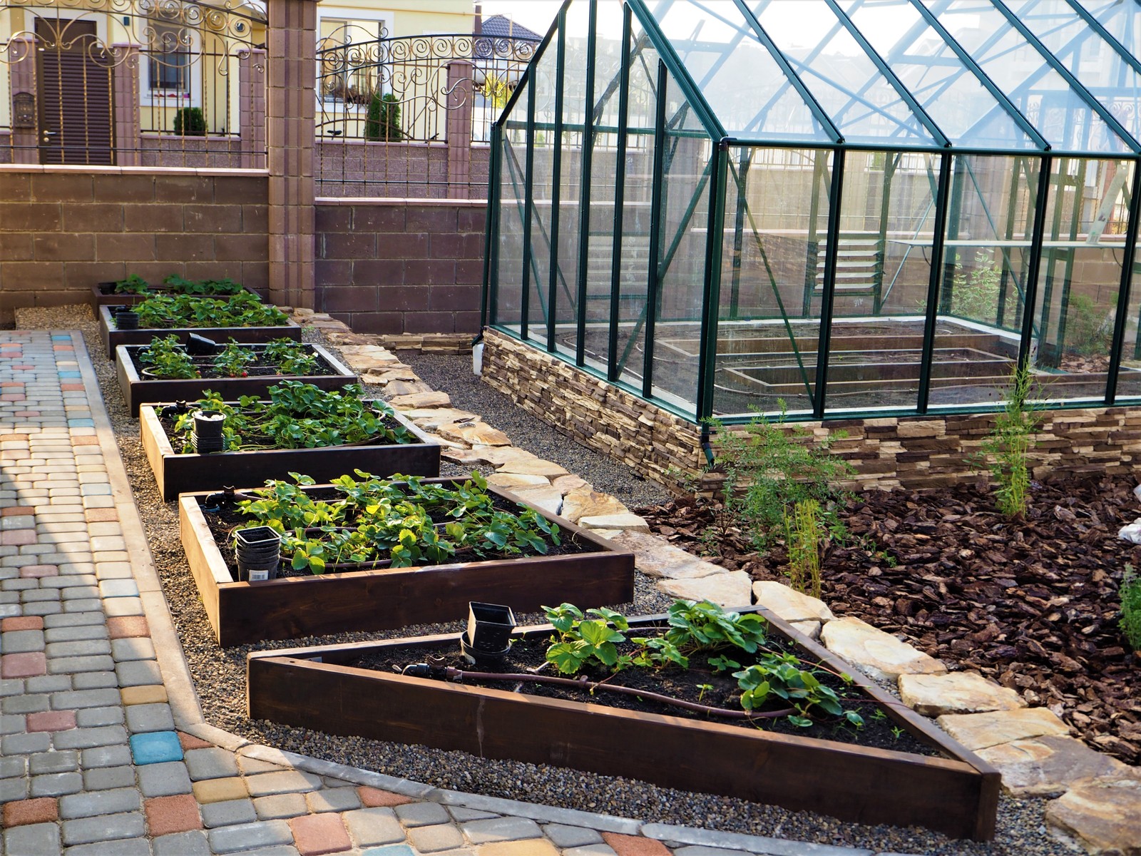 Натуральное дерево в саду