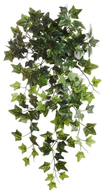 Silk English Ivy Hanging Bush19 W 204 Leaves Silk House Plant Set Of 6 Traditional Artificial Plants And Trees By At Home Floral Houzz