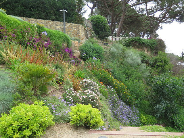 Talud en flor en primavera - Mediterráneo - Jardín - Otras zonas - de