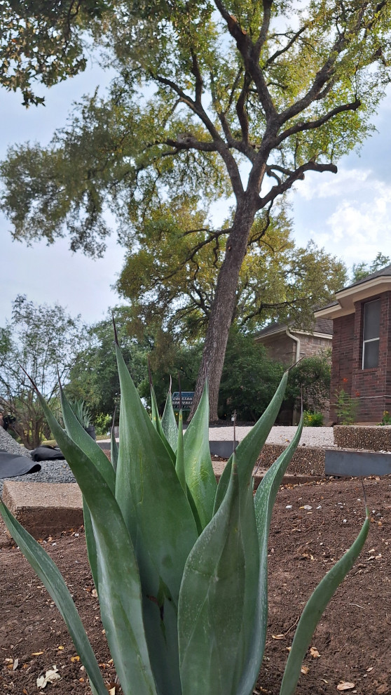 Landscaping Design and Construction