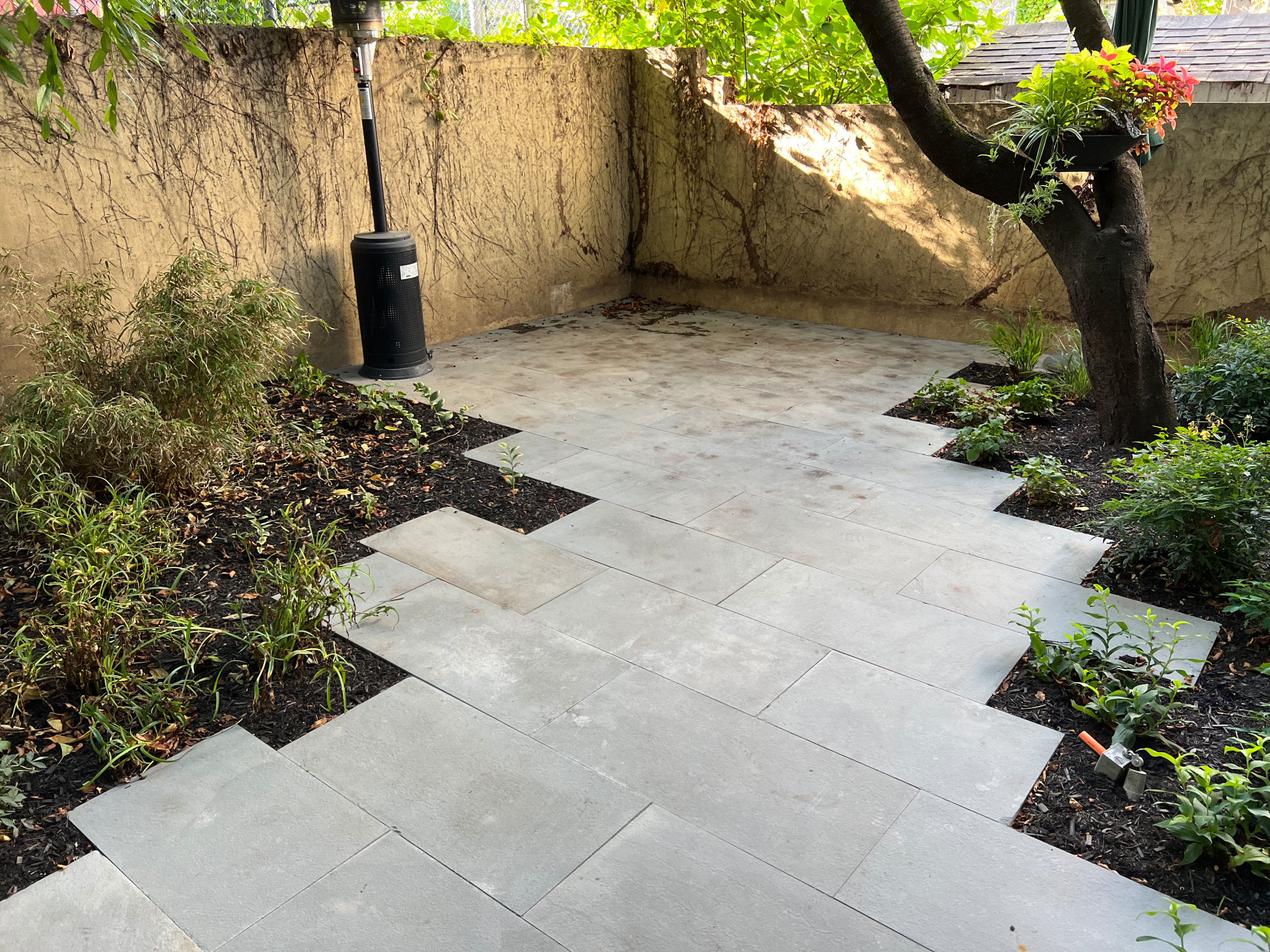 Modern Urban Shade Garden