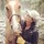 alexandra_hill7764942