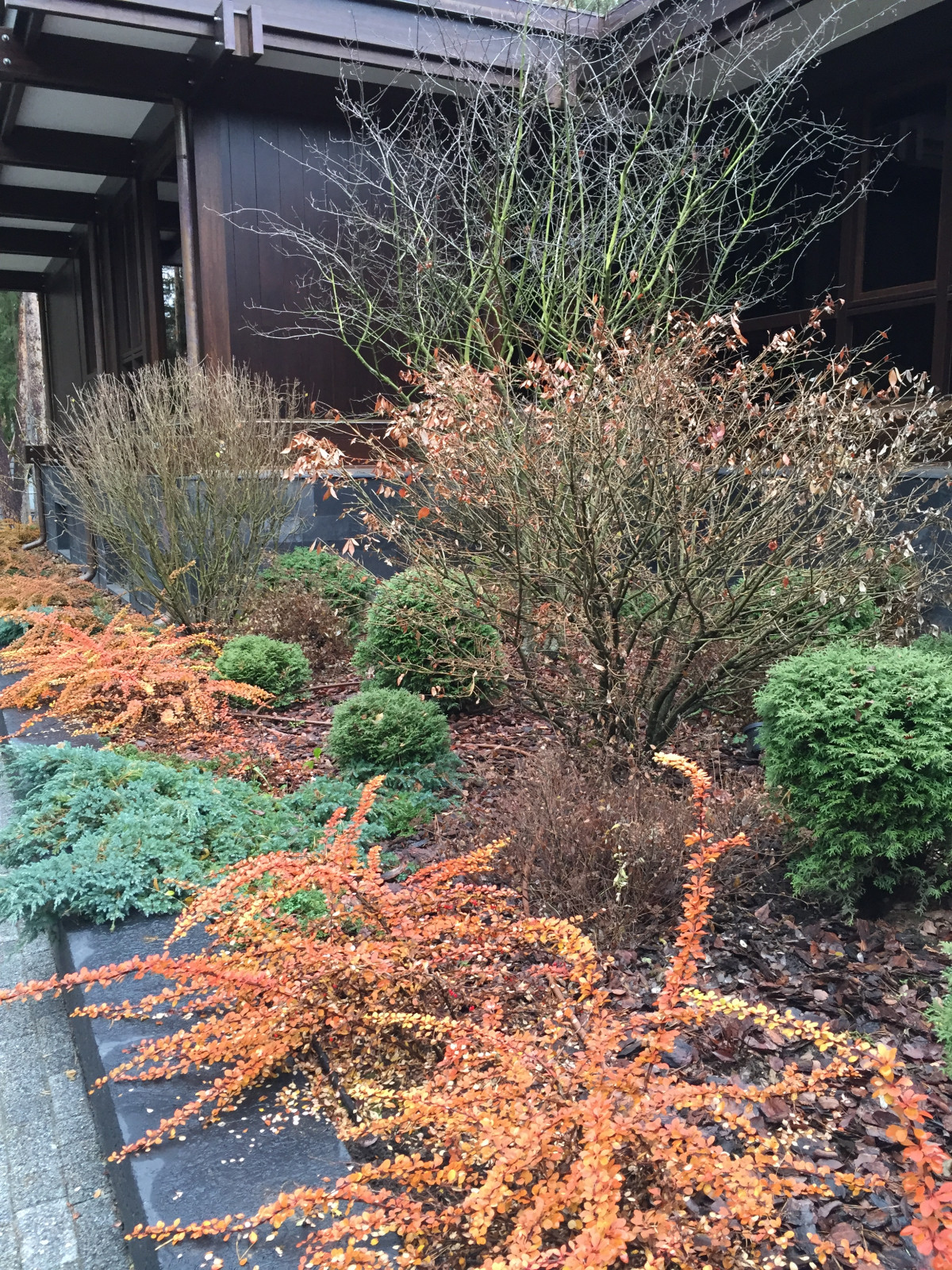 Сосновый бор