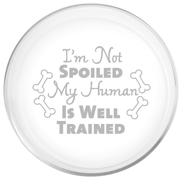 "I'm Not Spoiled" Glass Dog Bowl Contemporary Pet Bowls And Feeding