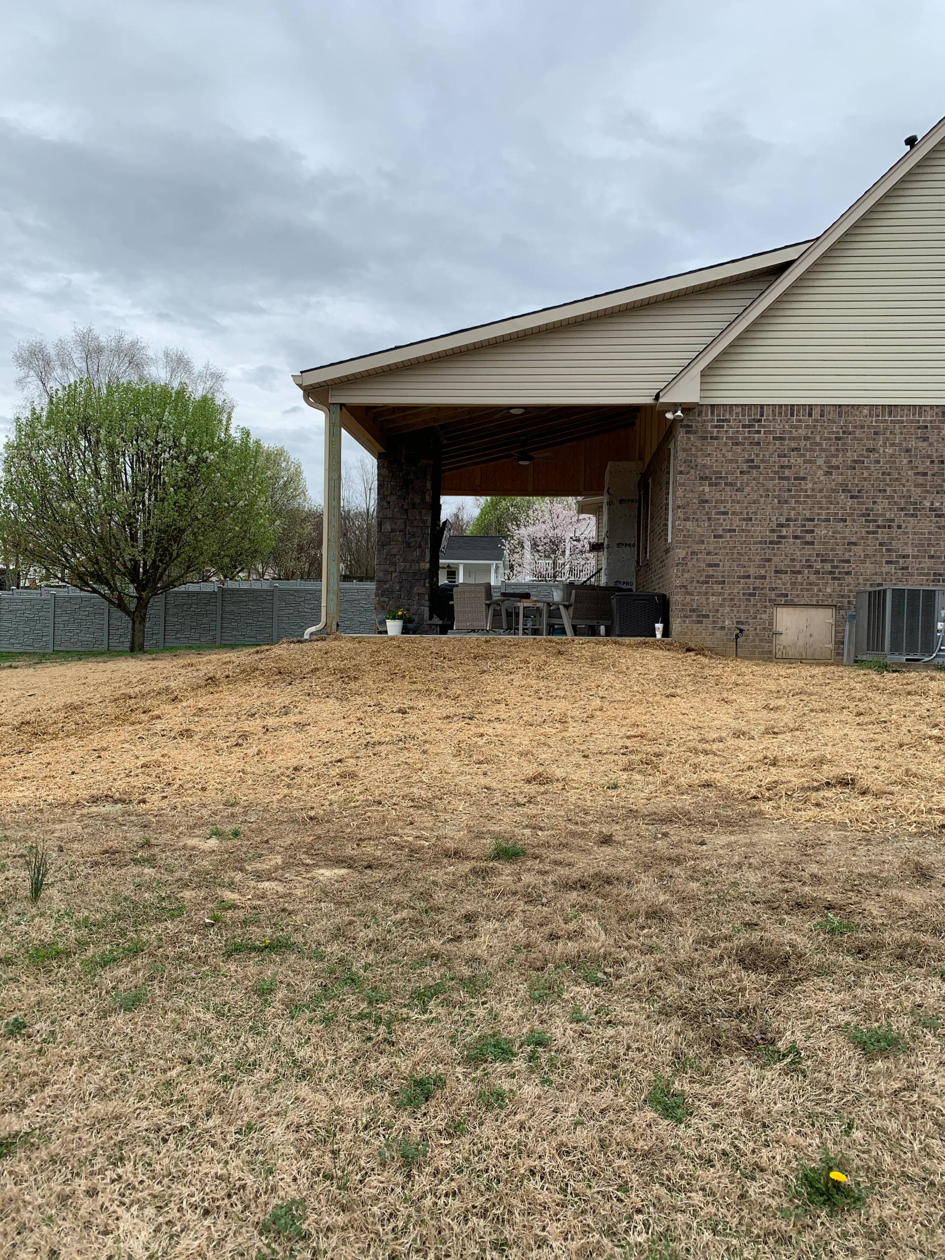 Shed roof Patio w/fireplace