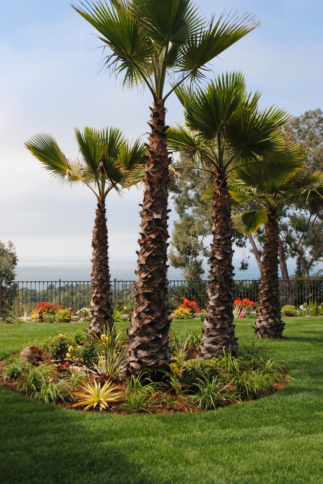 Design ideas for a large mediterranean front yard partial sun garden in Santa Barbara with mulch.
