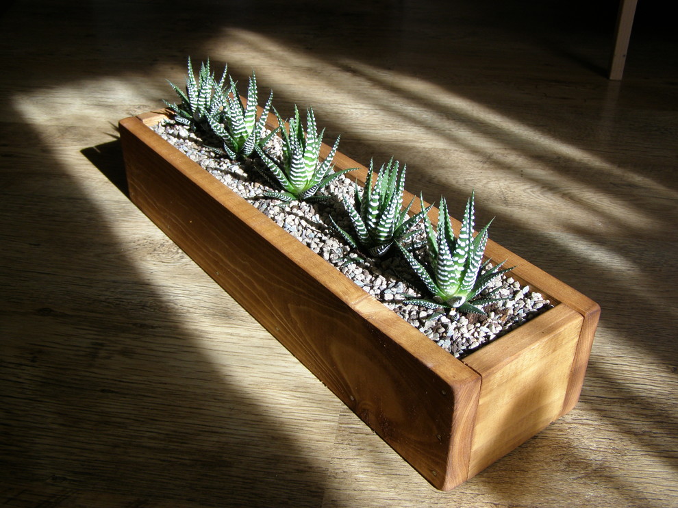 Композиции с комнатными растениями