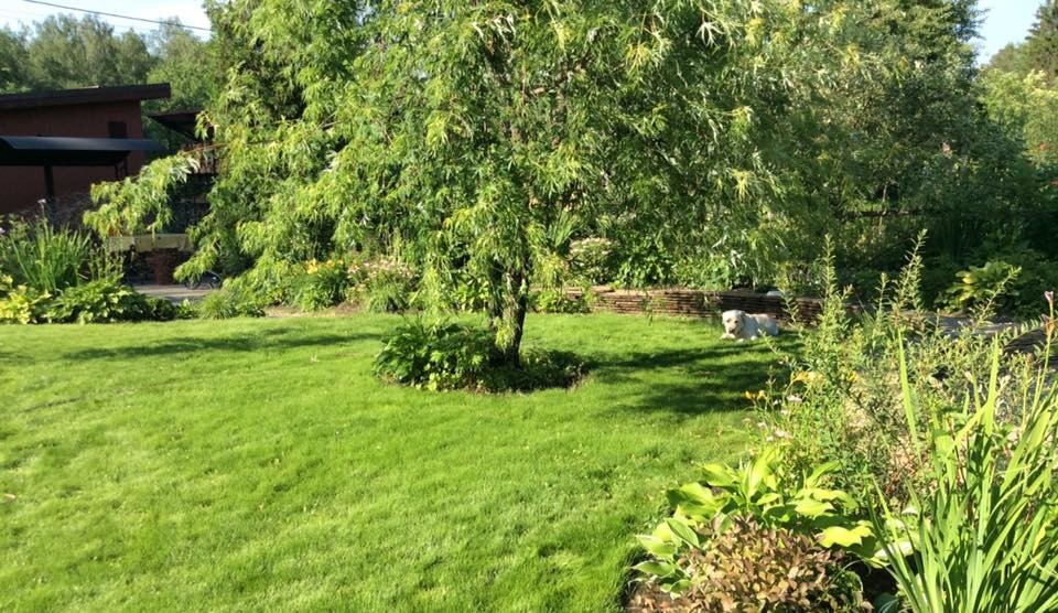 САДИК НА ЛАДОШКЕ 2016