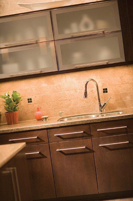 Transitional Treasure transitional-kitchen
