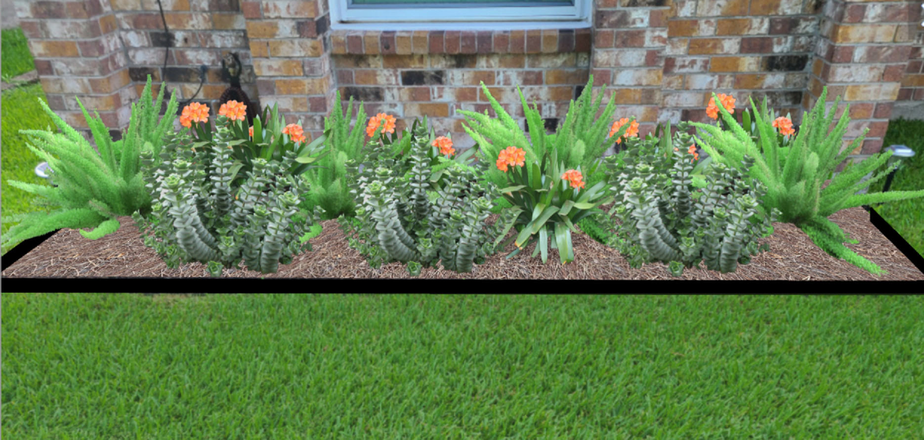Zone 9 Plantings
