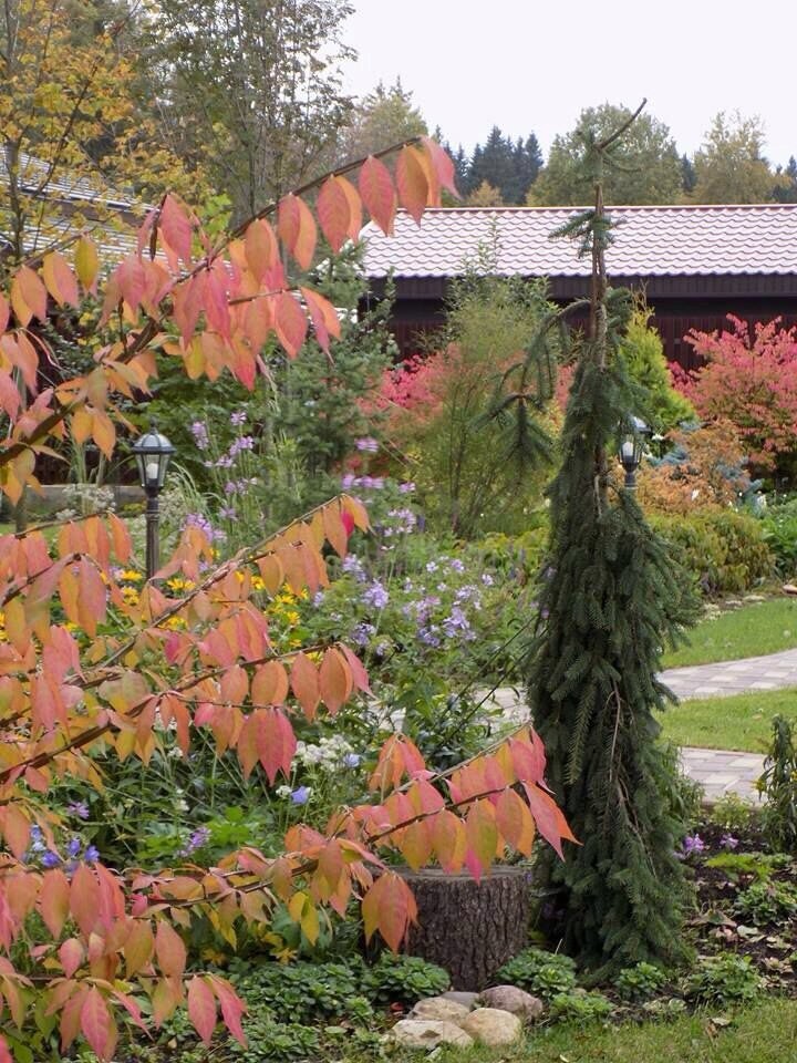 Озеленение, ландшафтный дизайн