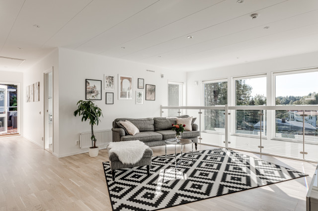 Sal&oacute;n scandinavian-living-room