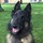 lynn_hostetler10