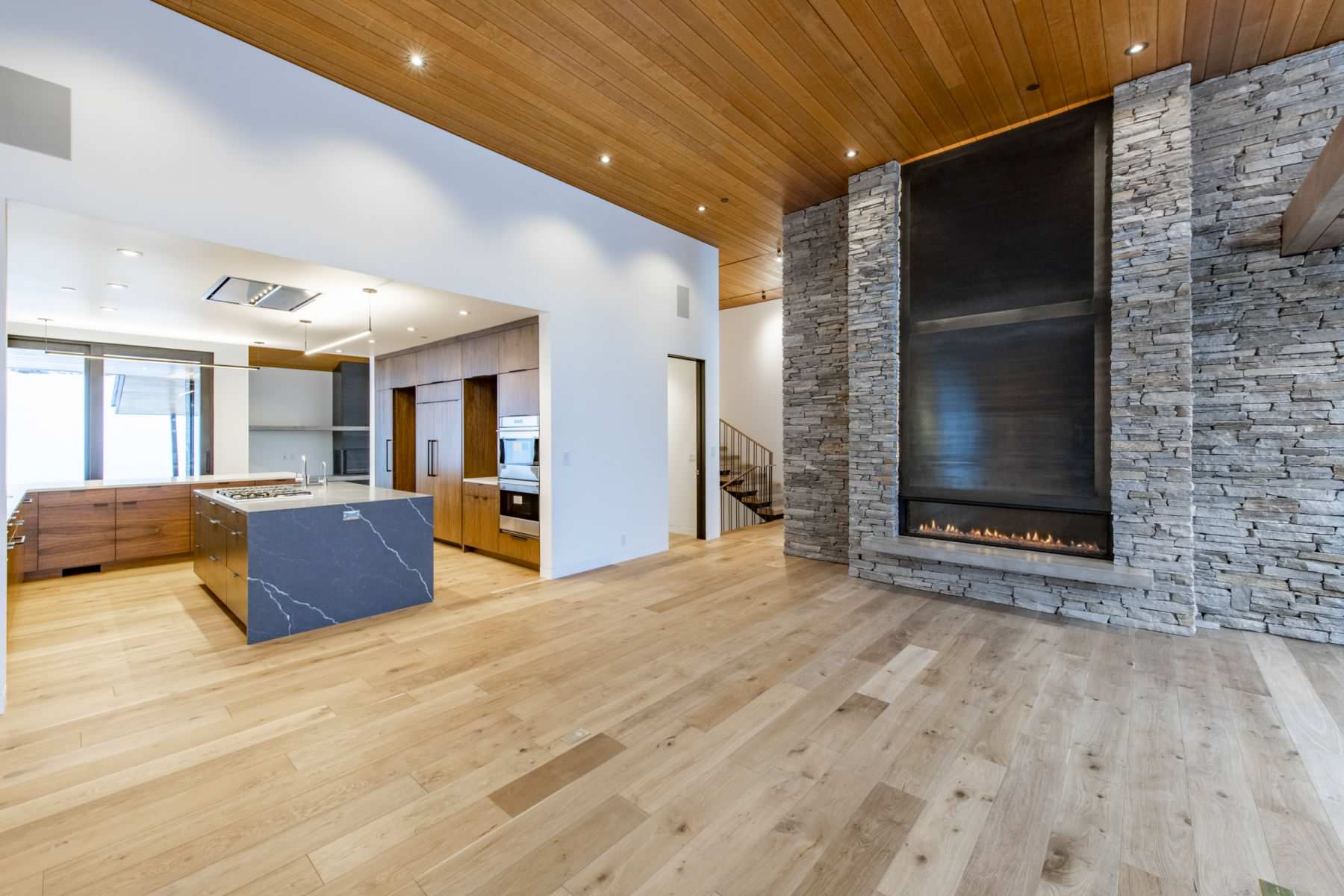 Park Meadows Modern Dream