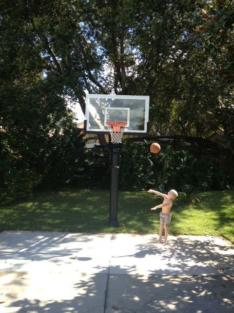 This is an example of a large traditional front yard partial sun outdoor sport court in Orlando.