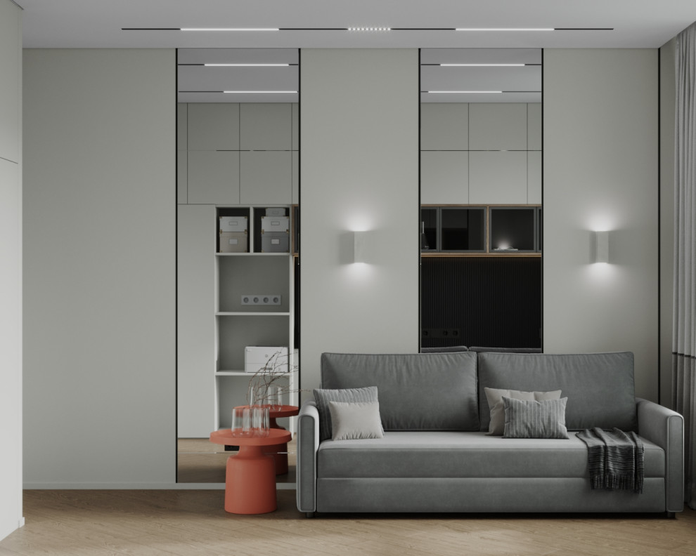 Проект квартиры для двоих. г.Брянск