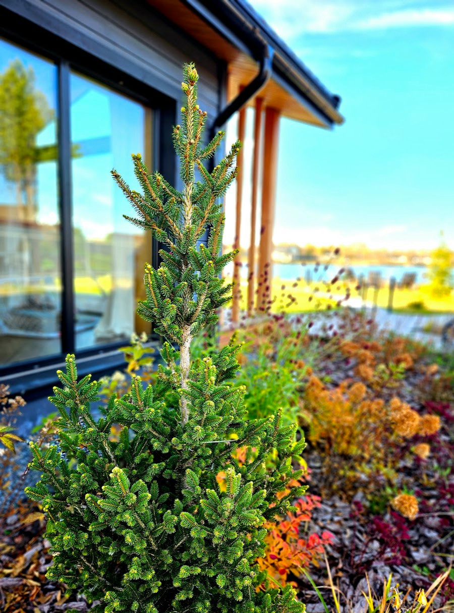 Готовые объекты