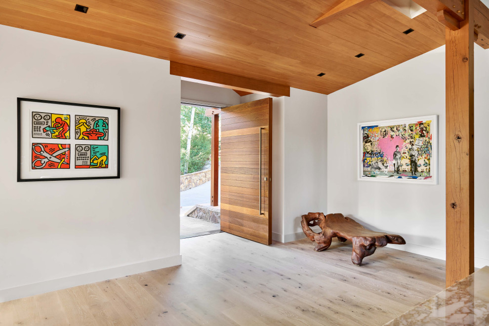 Entryway - entryway idea in Denver
