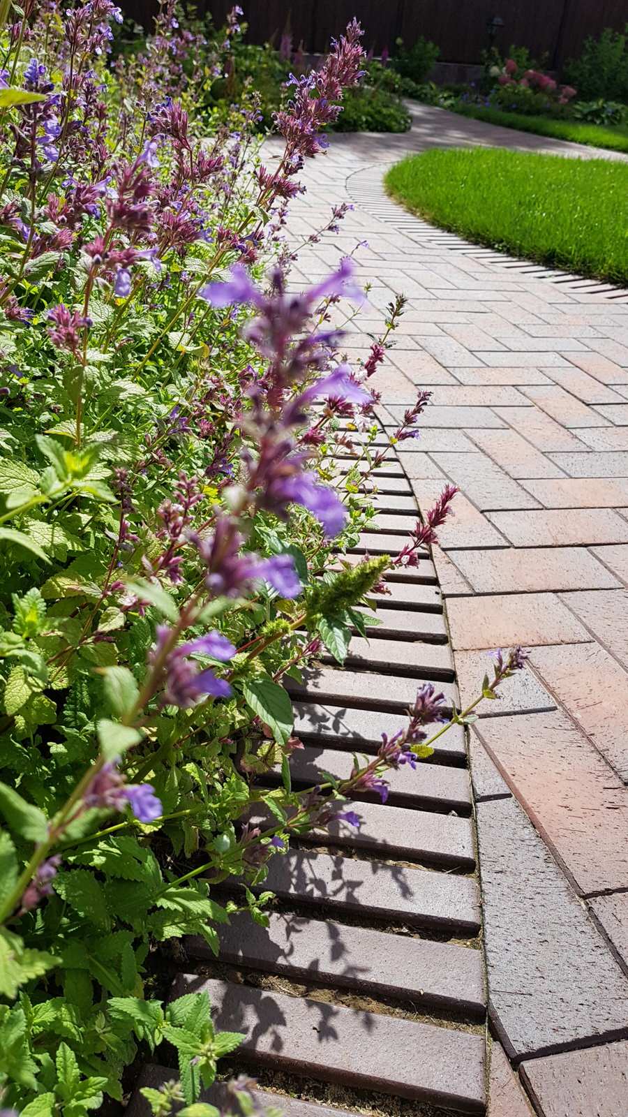 Дизайн участка с уклоном более 7 м.