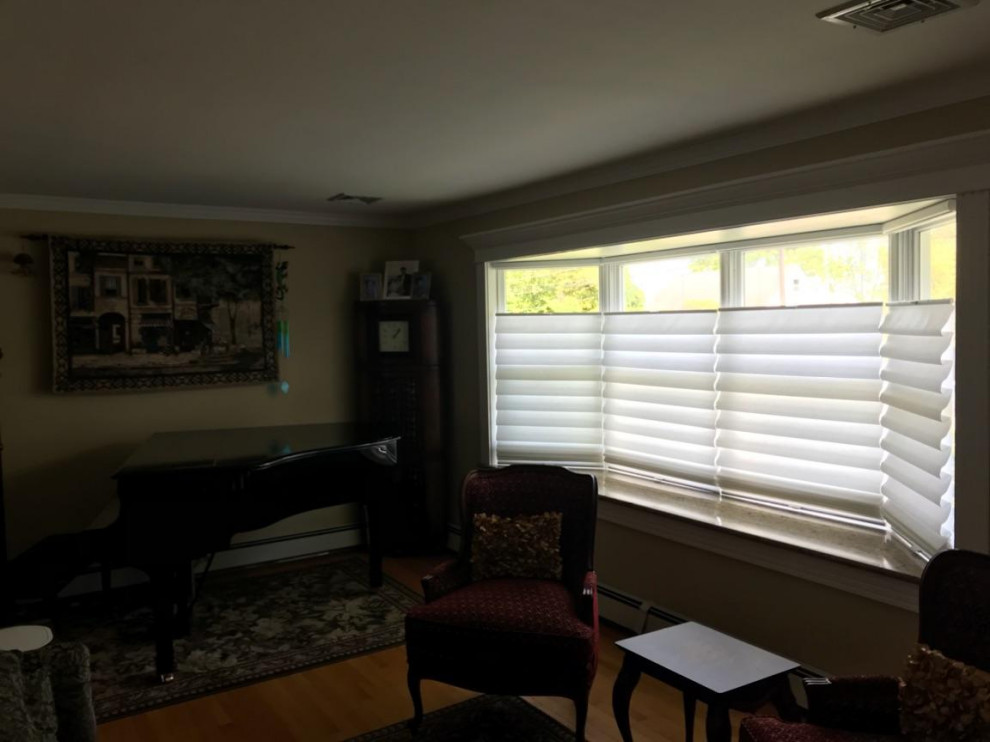 Alustra Vignette Modern Roman Shade