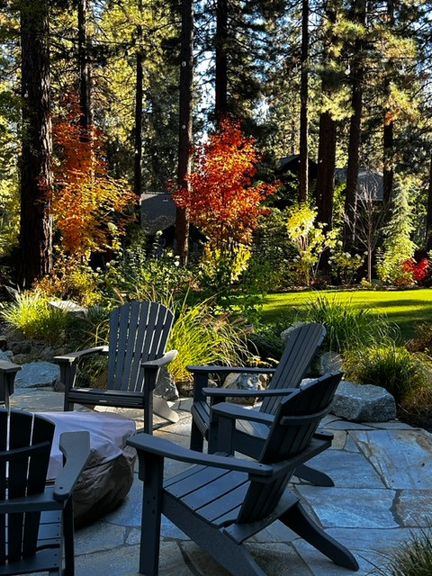 Tahoe Living