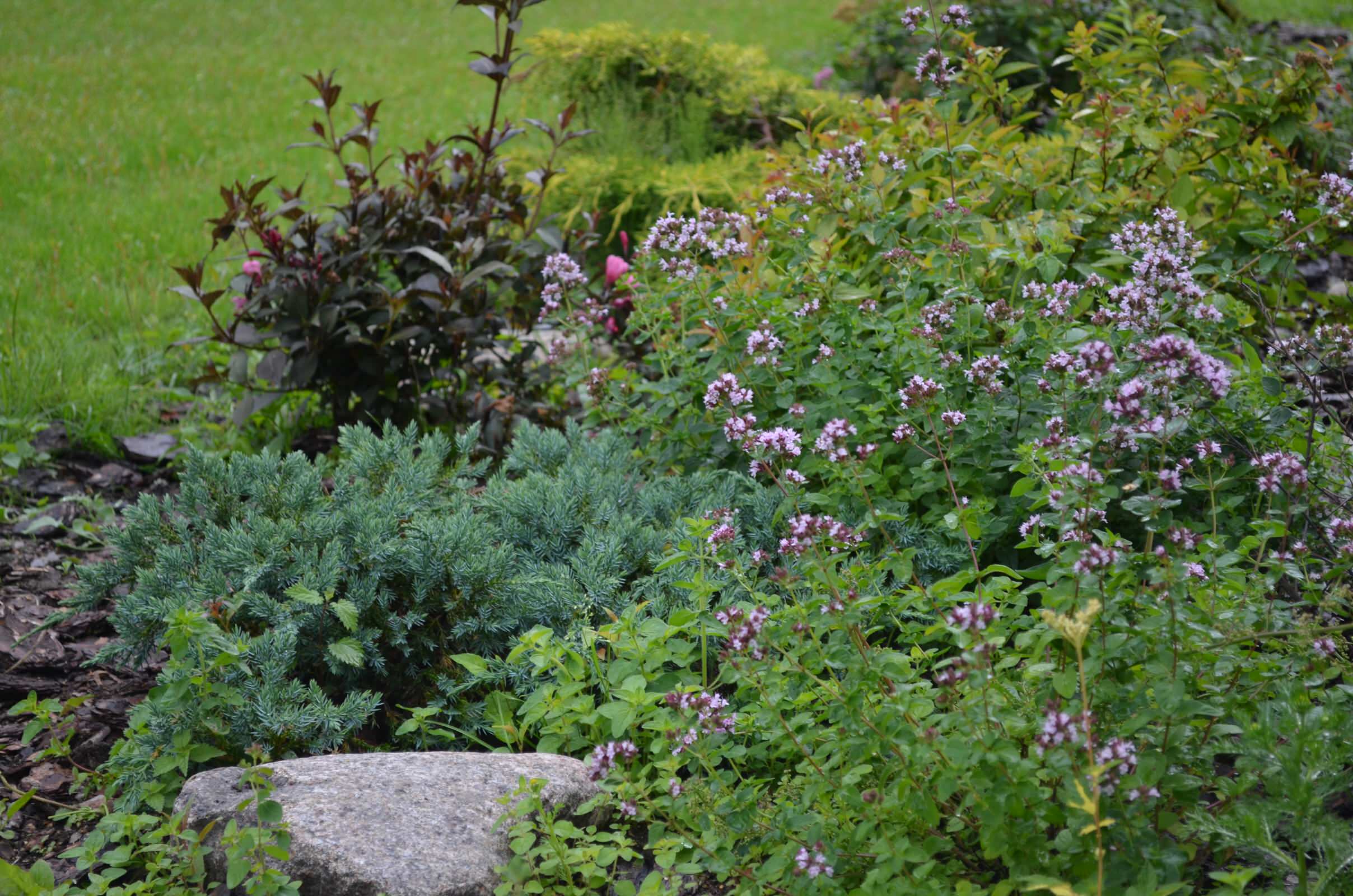 Воплощение проекта. Мельниково