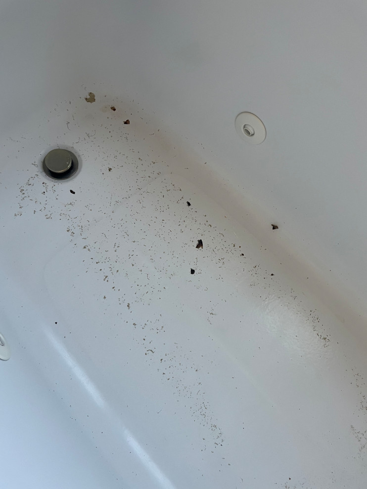 Disgusting Bath Jets help!!