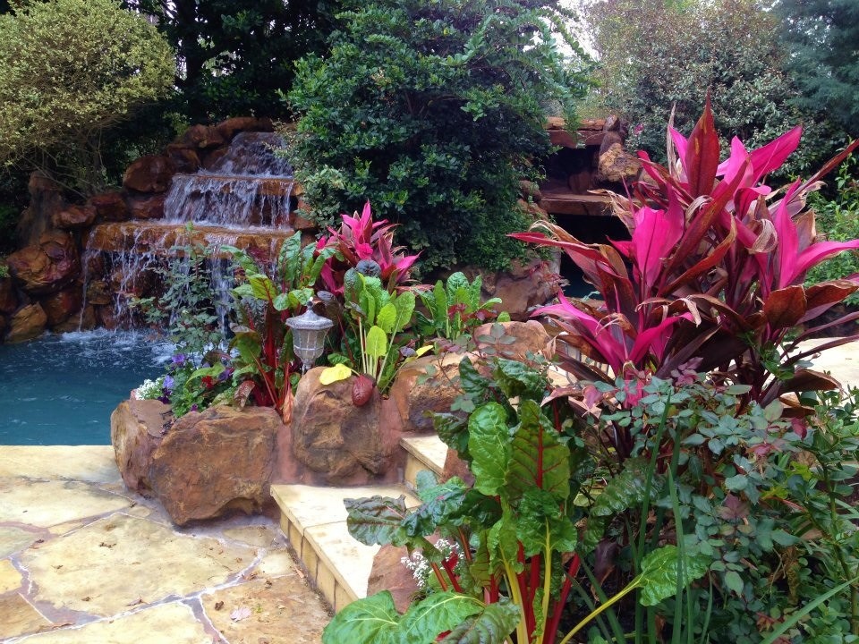 Photo of a tropical garden in Houston.