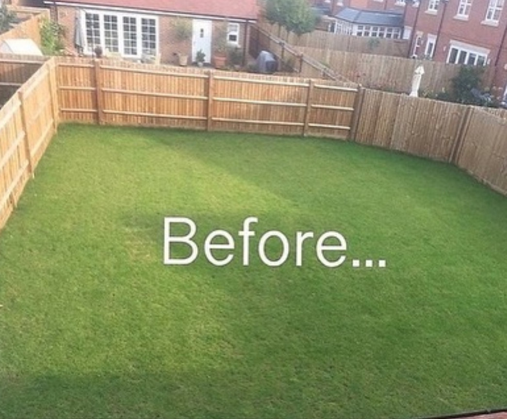 BEFORE & AFTER