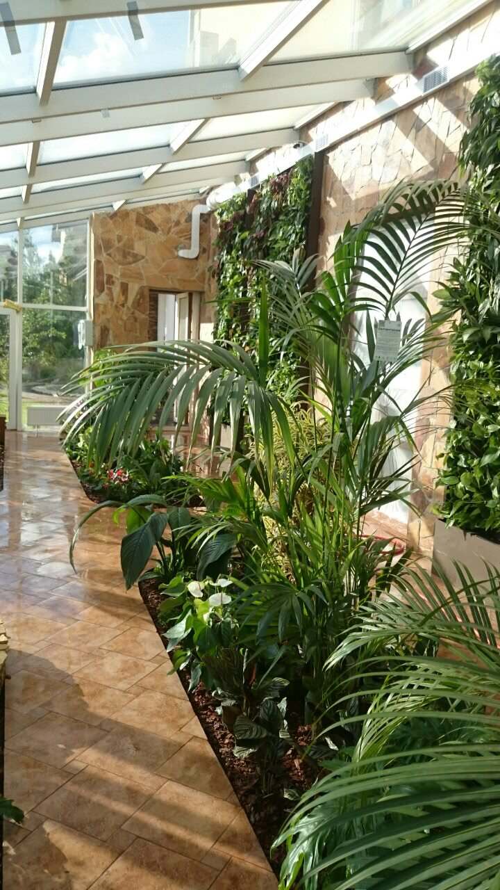 Зимний сад. Калининец