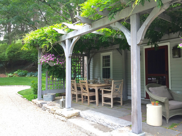 amethyst falls american wisteria Amethyst Falls Wisteria – Plant Detectives main image 0