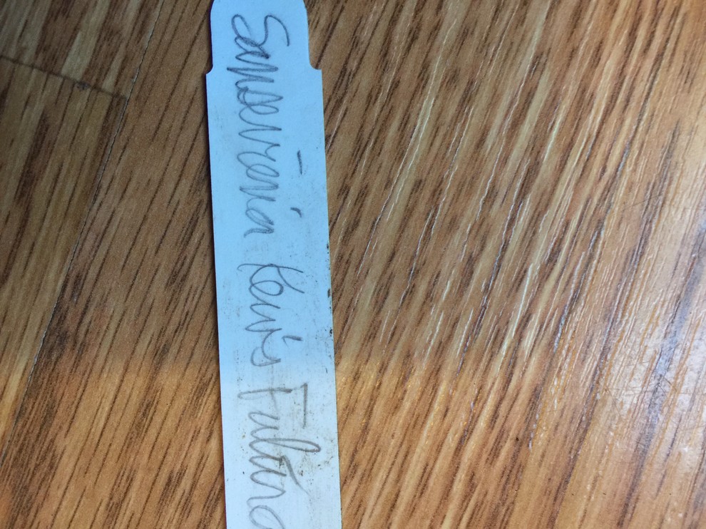 Bonus Sansevieria from GlassHouseWorks