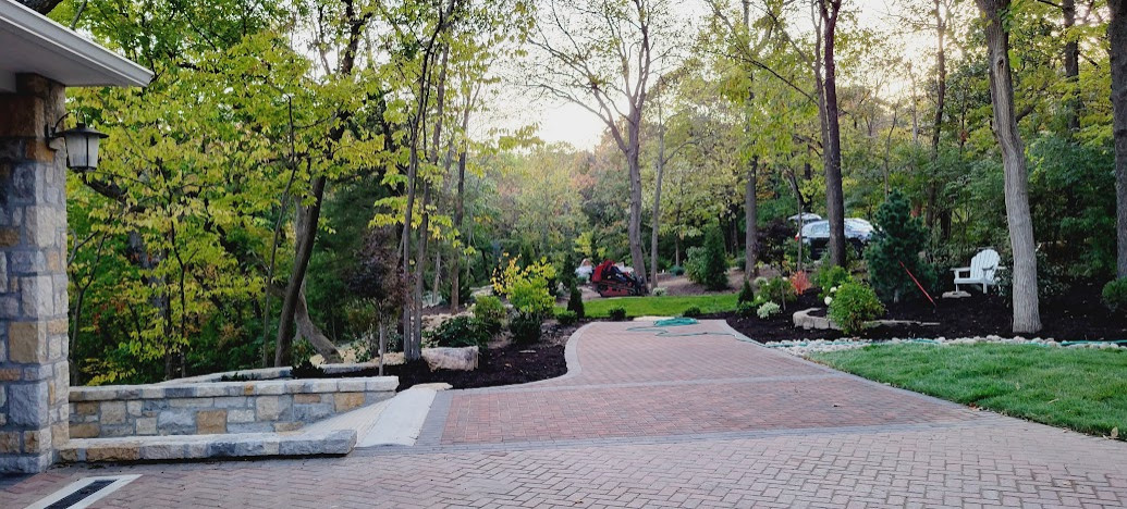 Woodland Restoration became Park like setting