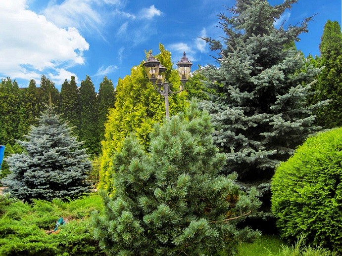 Благоустройство и озеленение