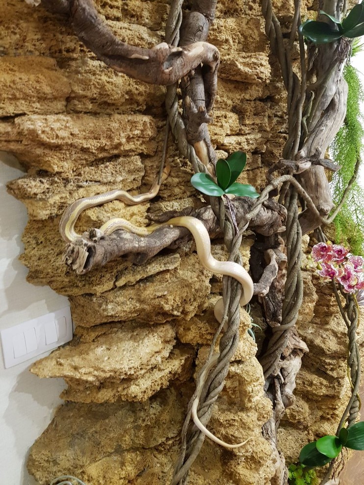 Террарий для змей