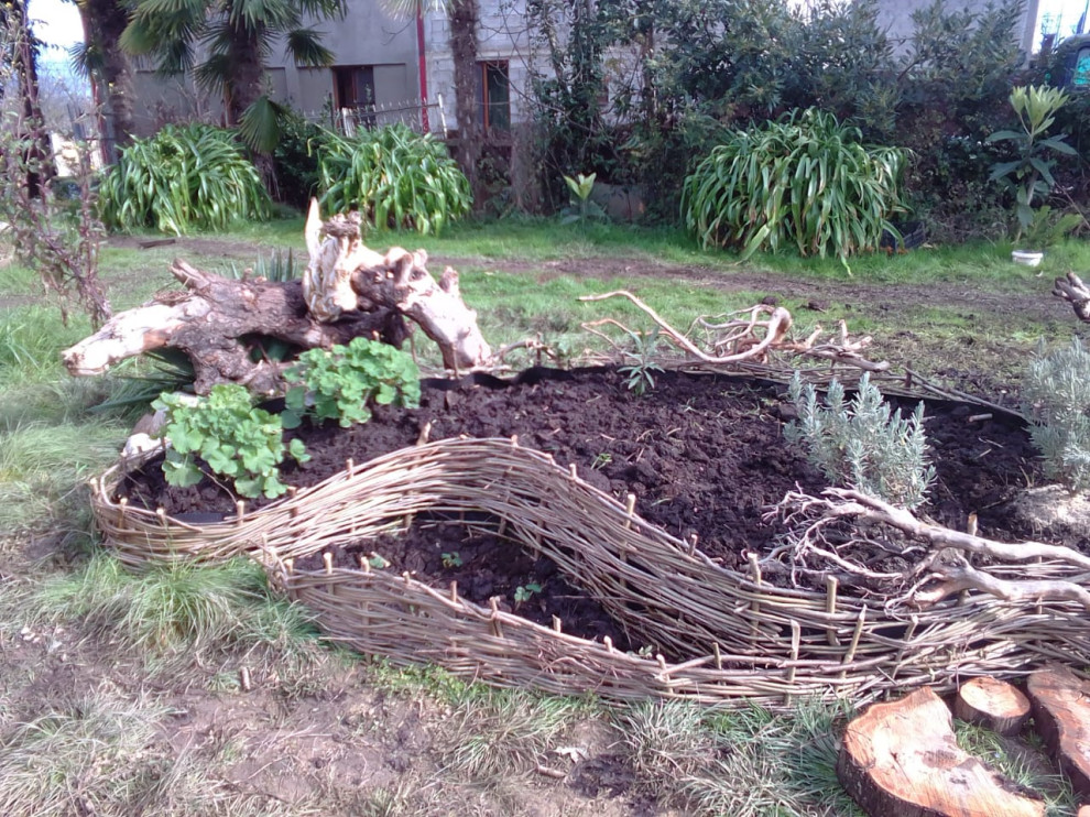 фитофантазия