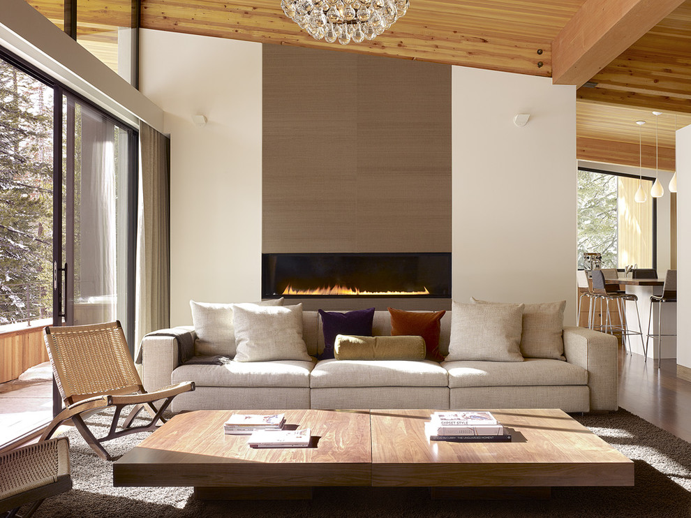 Design ideas for a midcentury living room in Sacramento with a ribbon fireplace.