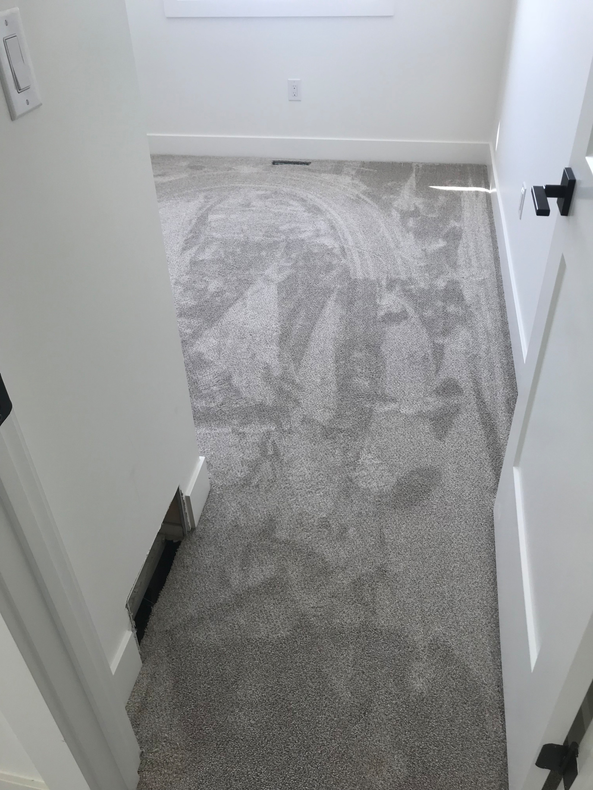 Carpet